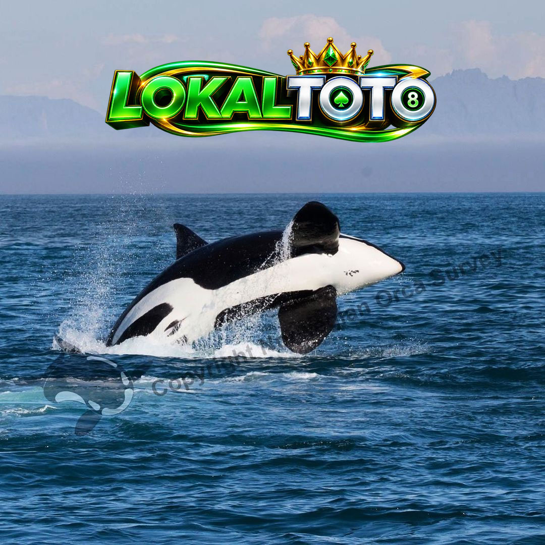LOKALTOTO : Review > Ulasan Jujur Situs Togel Singapore, Pilihan Utama Pemain Profesional
